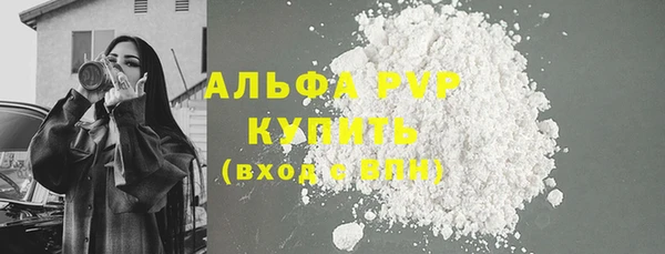 шишки Заводоуковск