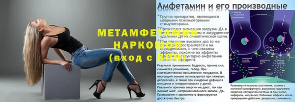 шишки Заводоуковск