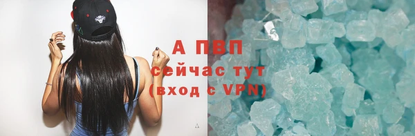 шишки Заводоуковск