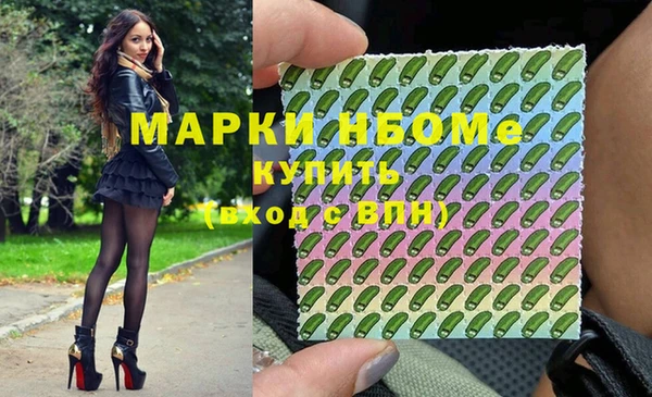 шишки Заводоуковск