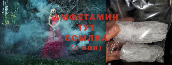 шишки Заводоуковск